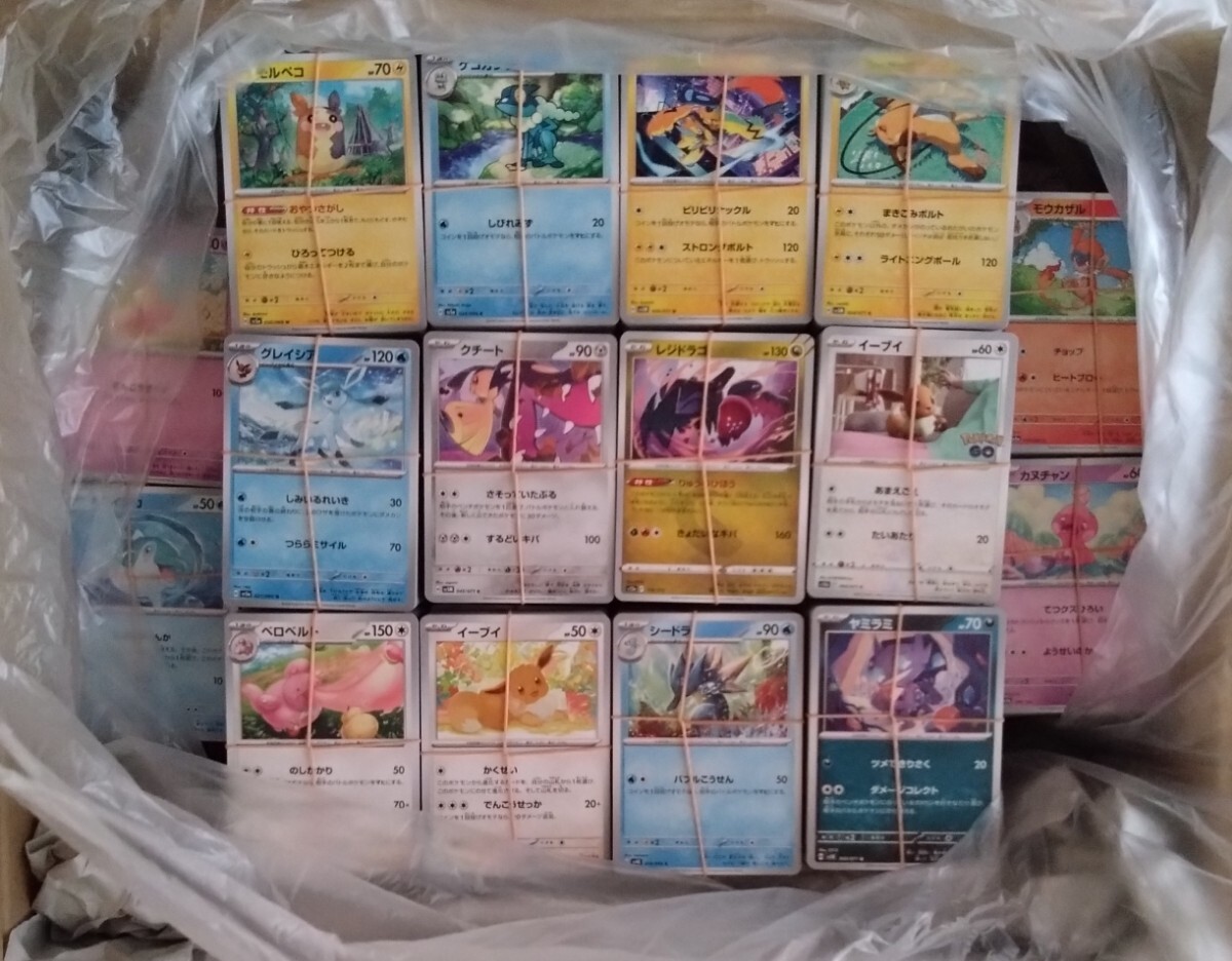 【送料無料】 ポケモンカード 全てノーマルカード 約25kg 15000枚セット 大量 まとめ売り