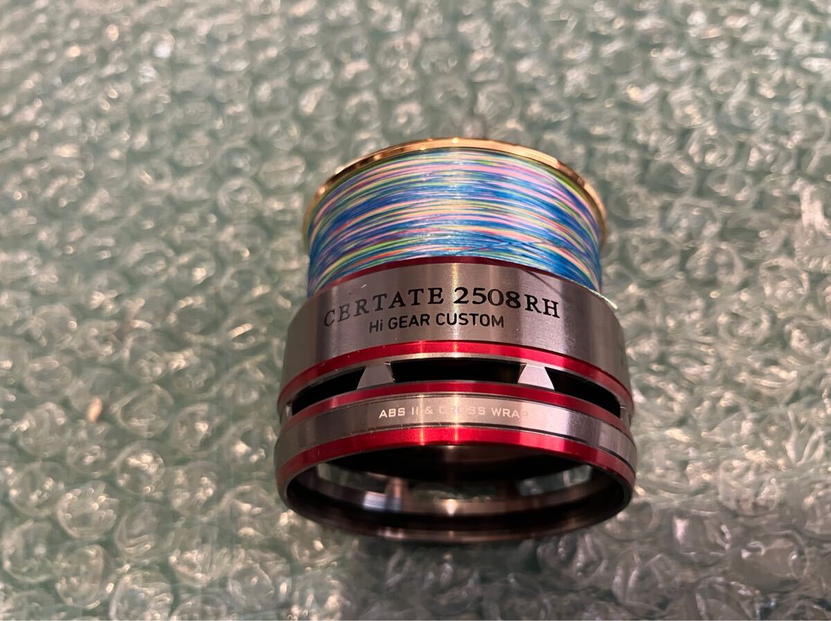 10セルテート2508RH スプール ハイギアカスタム に興味をもっていただき