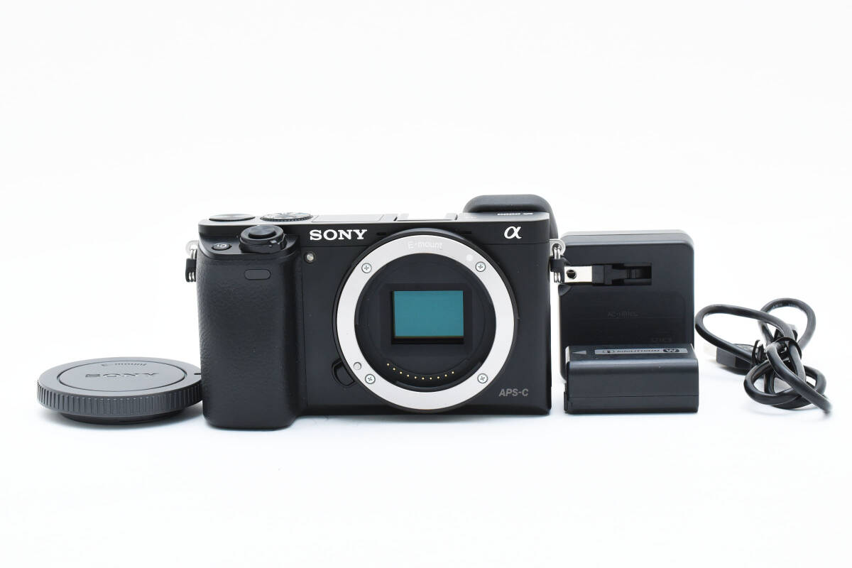 SONY α6000 ミラーレス一眼カメラ 【公式通販】
