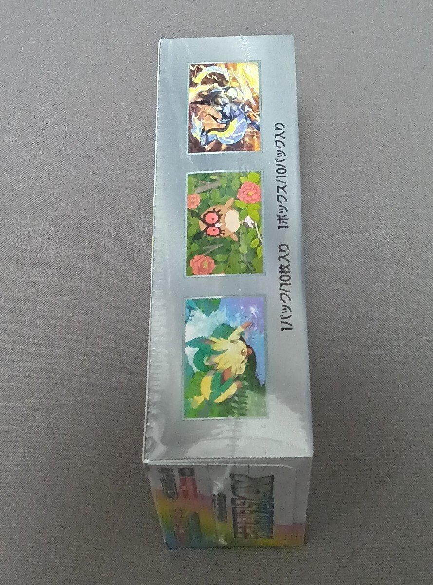 新品未開封シュリンク付き テラスタルフェス 1box 新品未開封】 テラス