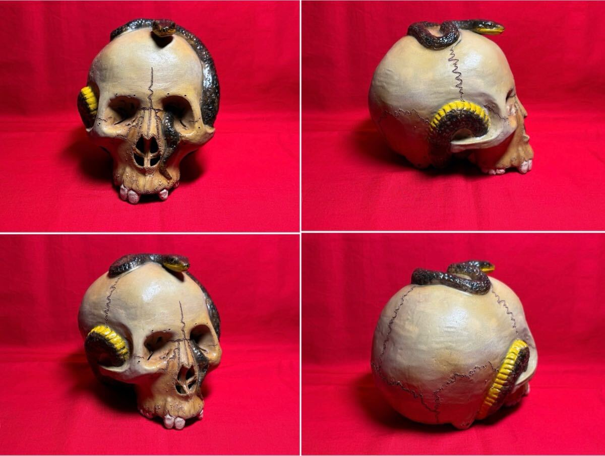 頭蓋骨】蛇巻髑髏 蛇 陶器 しゃれこうべ 置物 ドクロ スカル 骨董 魔