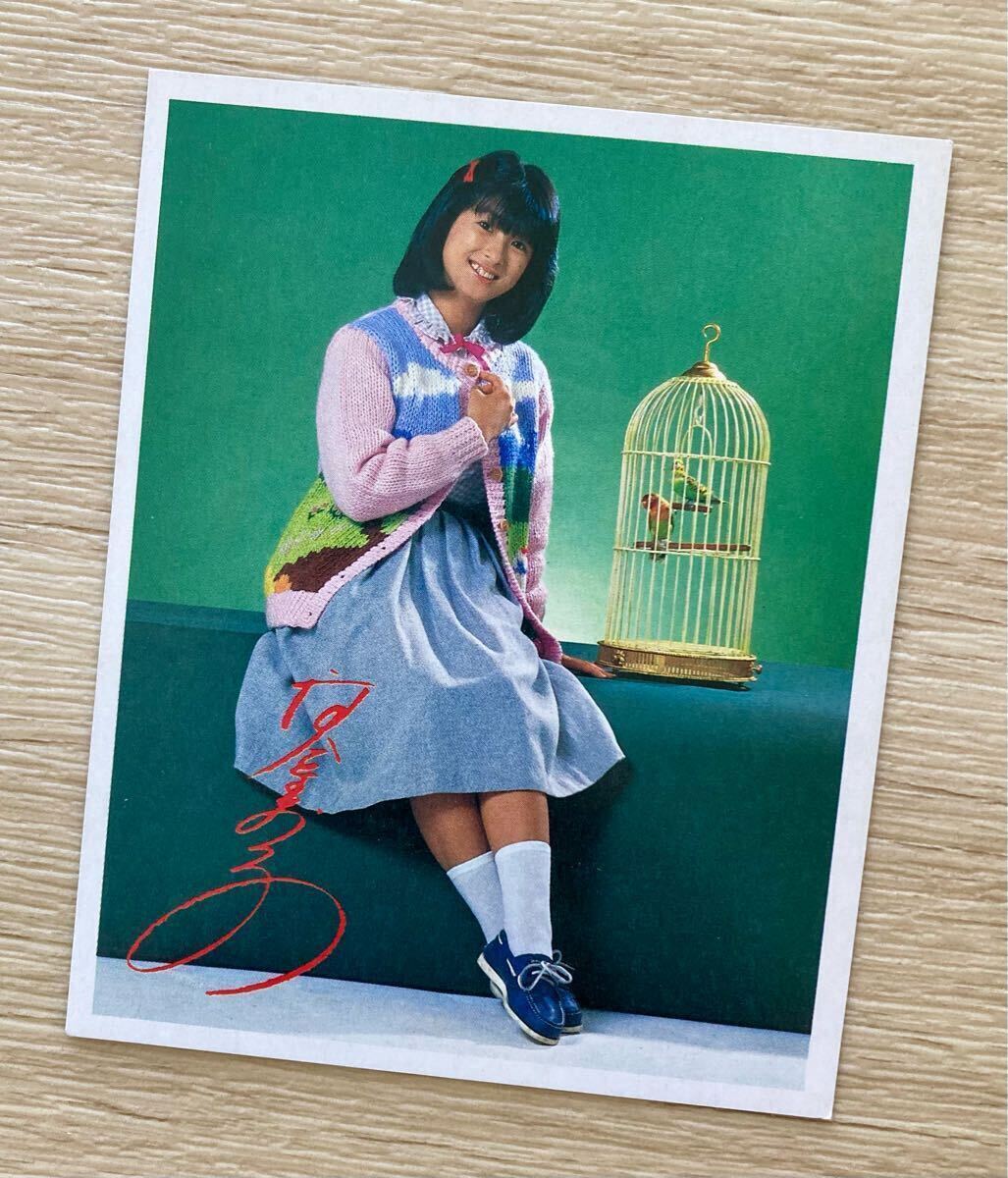 送料無料 河合奈保子さん 山勝フォトカード9枚セット ブロマイド 芸映