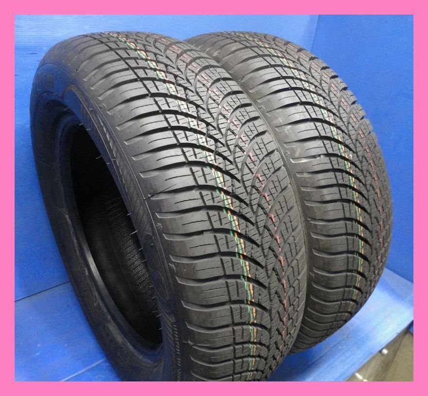未使用品 2022年製 10分山 2本セット オールシーズンタイヤ グッドイヤー YZ/★ Vector 4Seasons 【195/65R15】 2本★QC0168_1