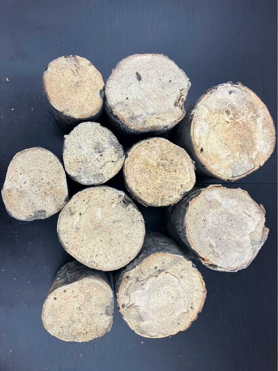 ベトナム材・VN材☆特価☆　柔らかめ　10本セット＋細材2本おまけ付　　①_1