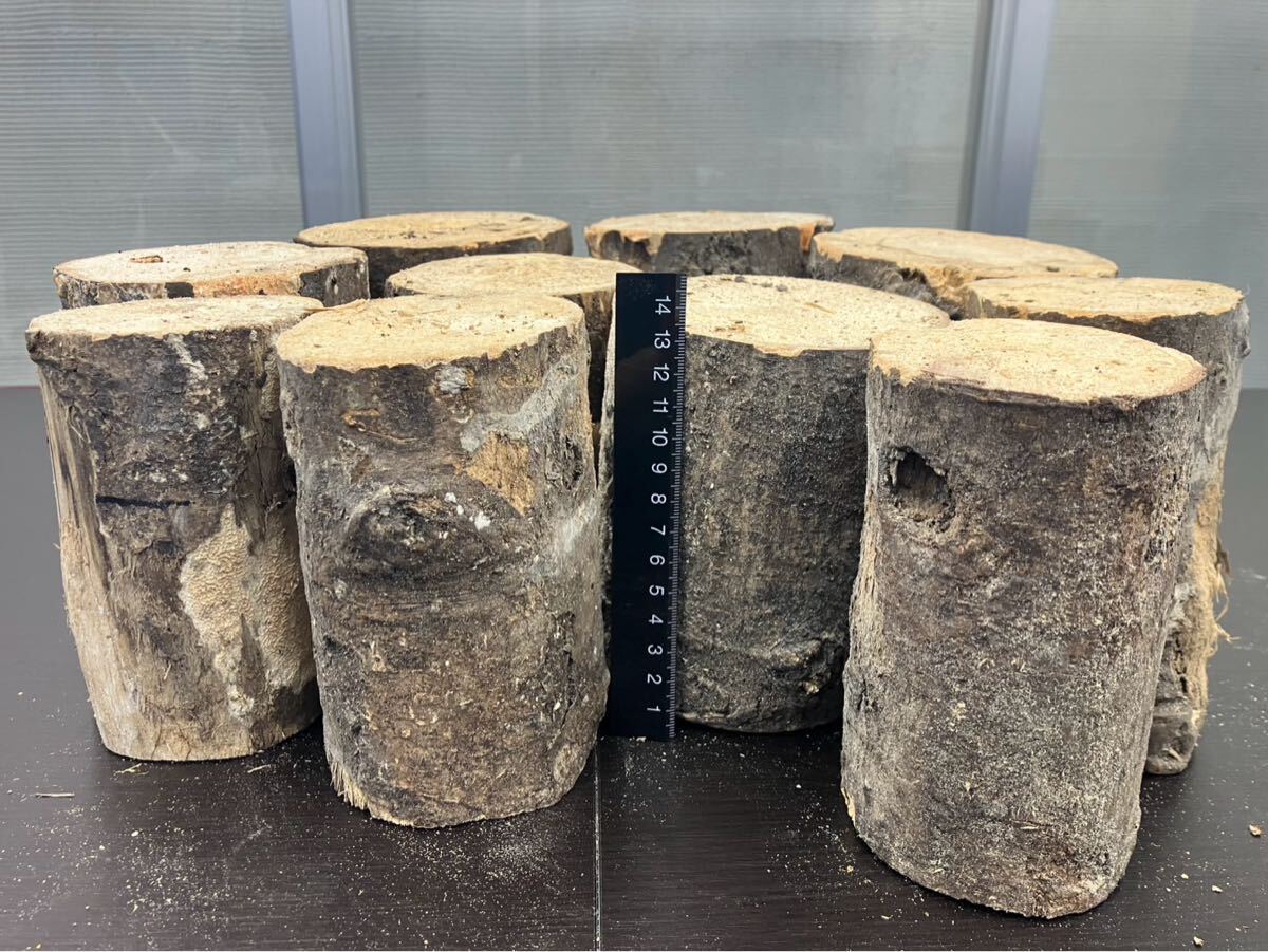 ベトナム材・VN材☆特価☆　柔らかめ　10本セット＋細材2本おまけ付　　①_2