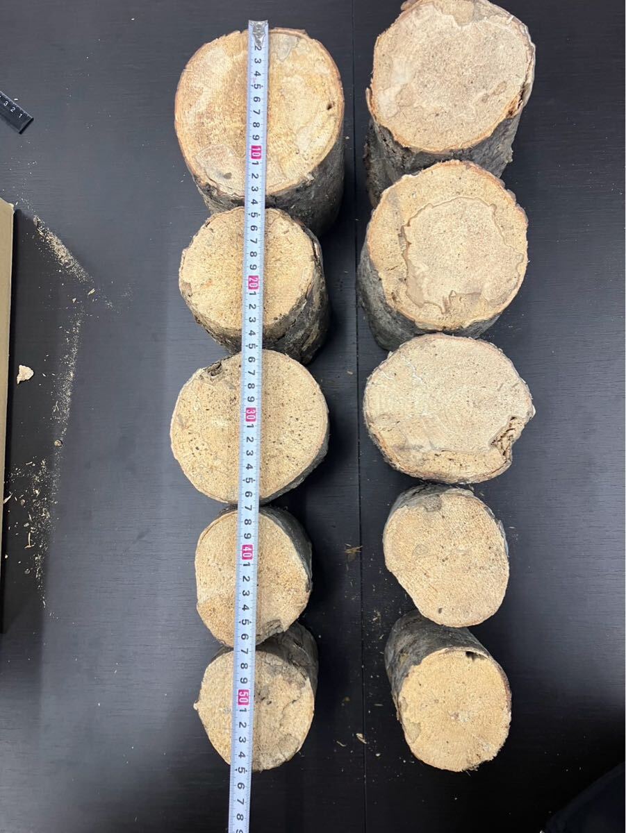 ベトナム材・VN材☆特価☆　柔らかめ　10本セット＋細材2本おまけ付　　①_4