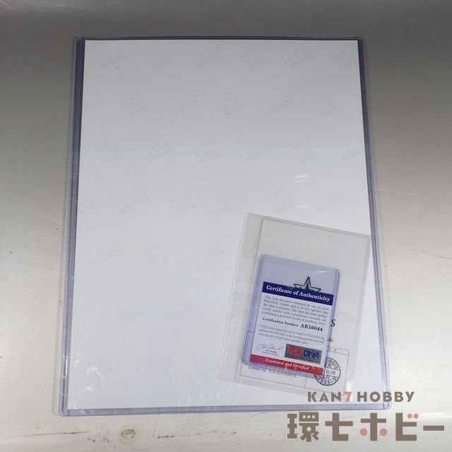 1WQ7◇証明書付 直筆サイン入り エメリヤーエンコ・ヒョードル フォト