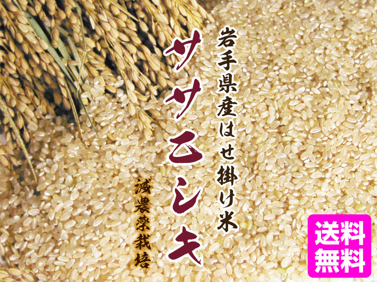 【今摺米】令和６年度 昔ながらの「稲架(はさ)掛け米」天日干し 岩手県産 ササニシキ 玄米 10Kg 送料無料!!_6