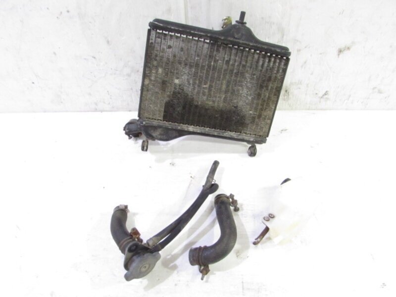 RZ250RR 29L 希少!! 純正 ラジエターSET 実動車外し 検※ 51L 1XG