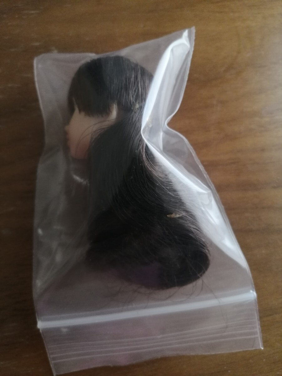 momoko doll 早春のマリーナ Bitter Brown Ver.ヘッドのみ　モモコドール　桃子ももこ_5