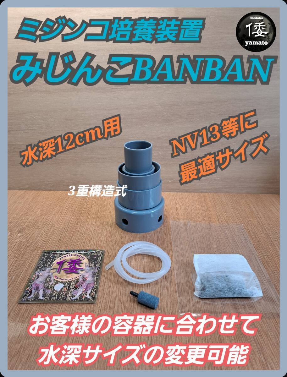 倭めだかの情報