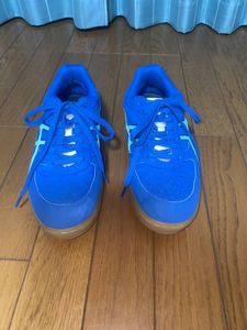 ★asics（アシックス） 　ハンドボールシューズ 　ブルー　26.0cm★