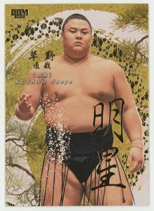 大相撲カードの値段と価格推移は？｜1040件の売買データから大相撲