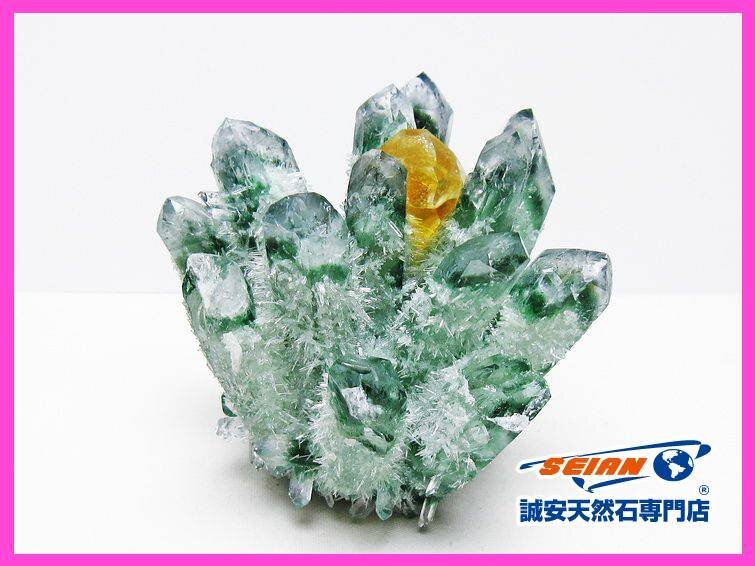 1円スタート！誠安◇緑水晶 グリーンクォーツ クラスター[T802-5992