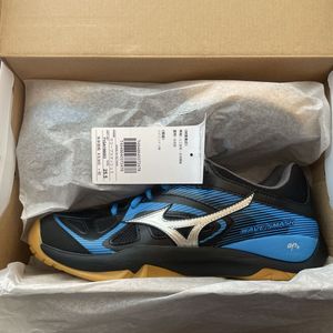 ゆうパック送料無料　未使用タグ付　ウェーブスマッシュ　25.5ミズノ MIZUNO バドミント