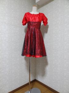 ☆レディース　社交ダンス　ダンス 　ダンス衣装　ワンピース　ドレス　ミニドレス　舞台