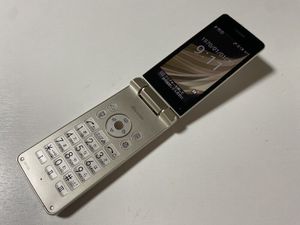 IZ320 docomo SH-02L 8GB ゴールド