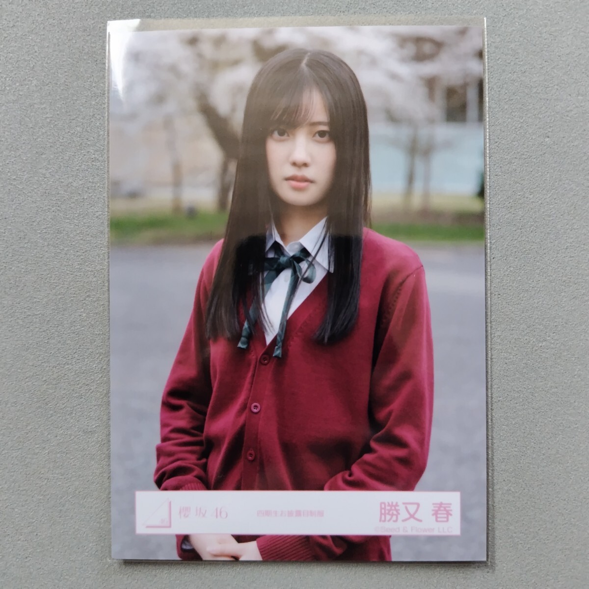 櫻坂46 勝又春 四期生お披露目制服 生写真 2(タレントグッズ)｜売買