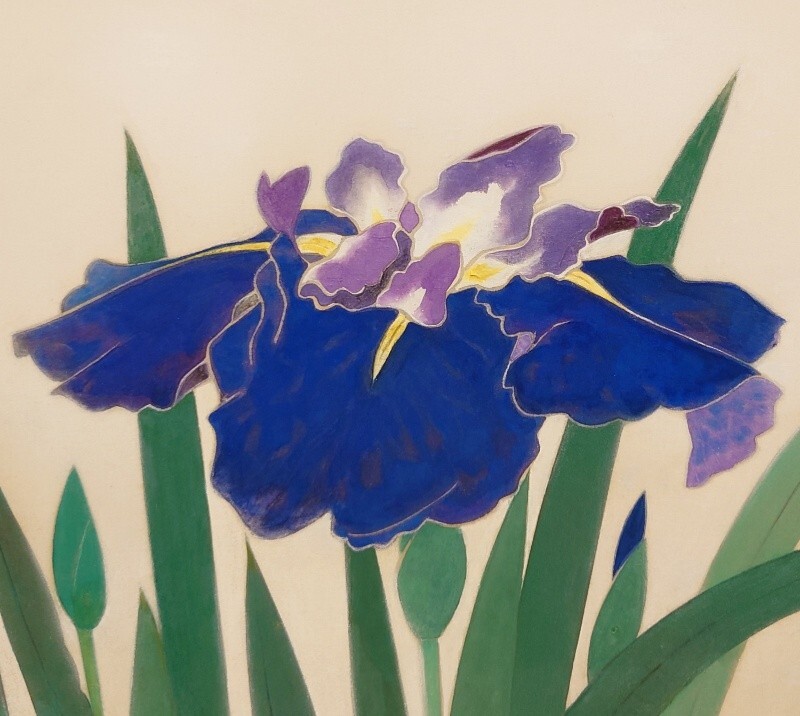 真作保証 金島桂華「菖蒲」日本画 約10号 共シール 絹本 日本芸術院