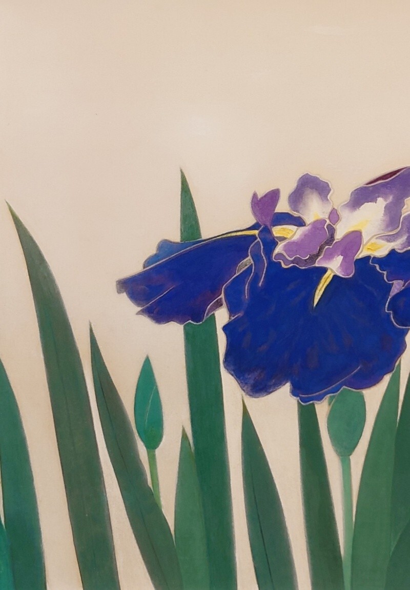 GLC】金島桂華 「大鯛」 日本画20号共シール 日本芸術院会員 日展顧問
