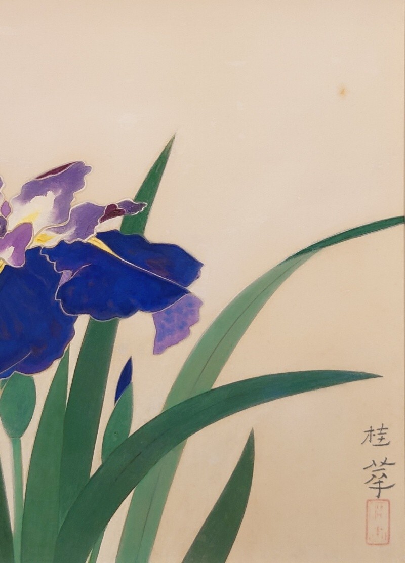 真作保証 金島桂華「菖蒲」日本画 約10号 共シール 絹本 日本芸術院