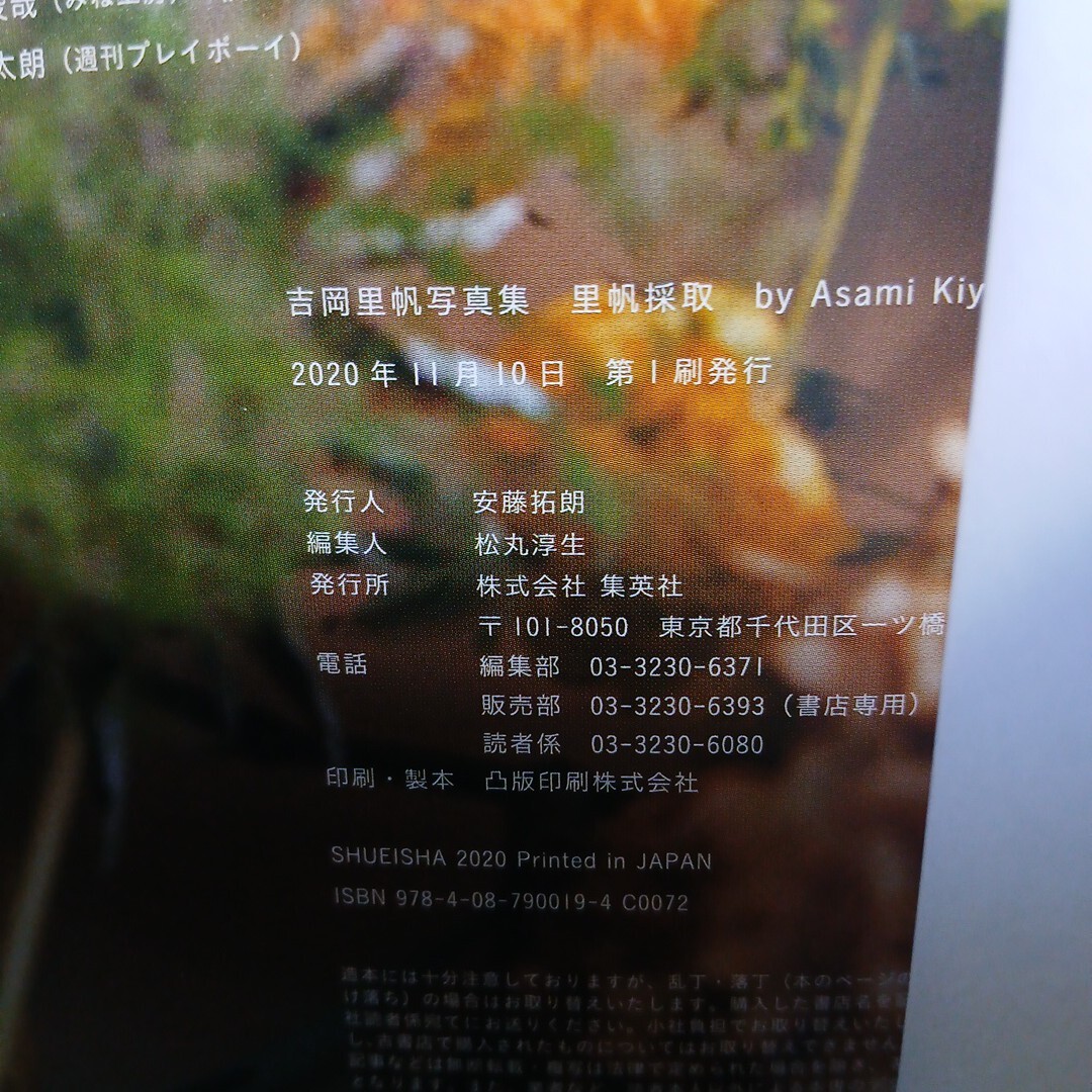 超美品 吉岡里帆 写真集 里帆採取 帯付 初版本 送料230円(や行)｜売買