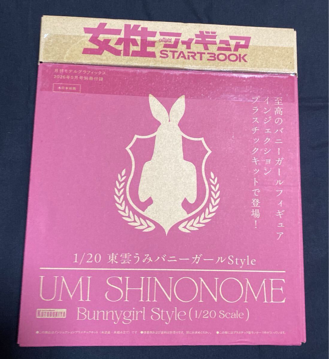 1/20 東雲うみ バニーガールStyleプラスチックキット「女性フィギュア