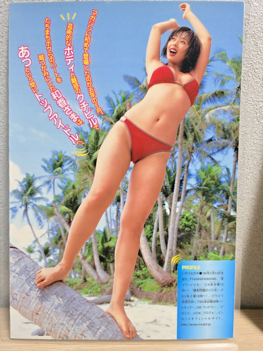 井上和香】[150μmラミネート加工切り抜き6ページ]ヤングマガジン 年 B5