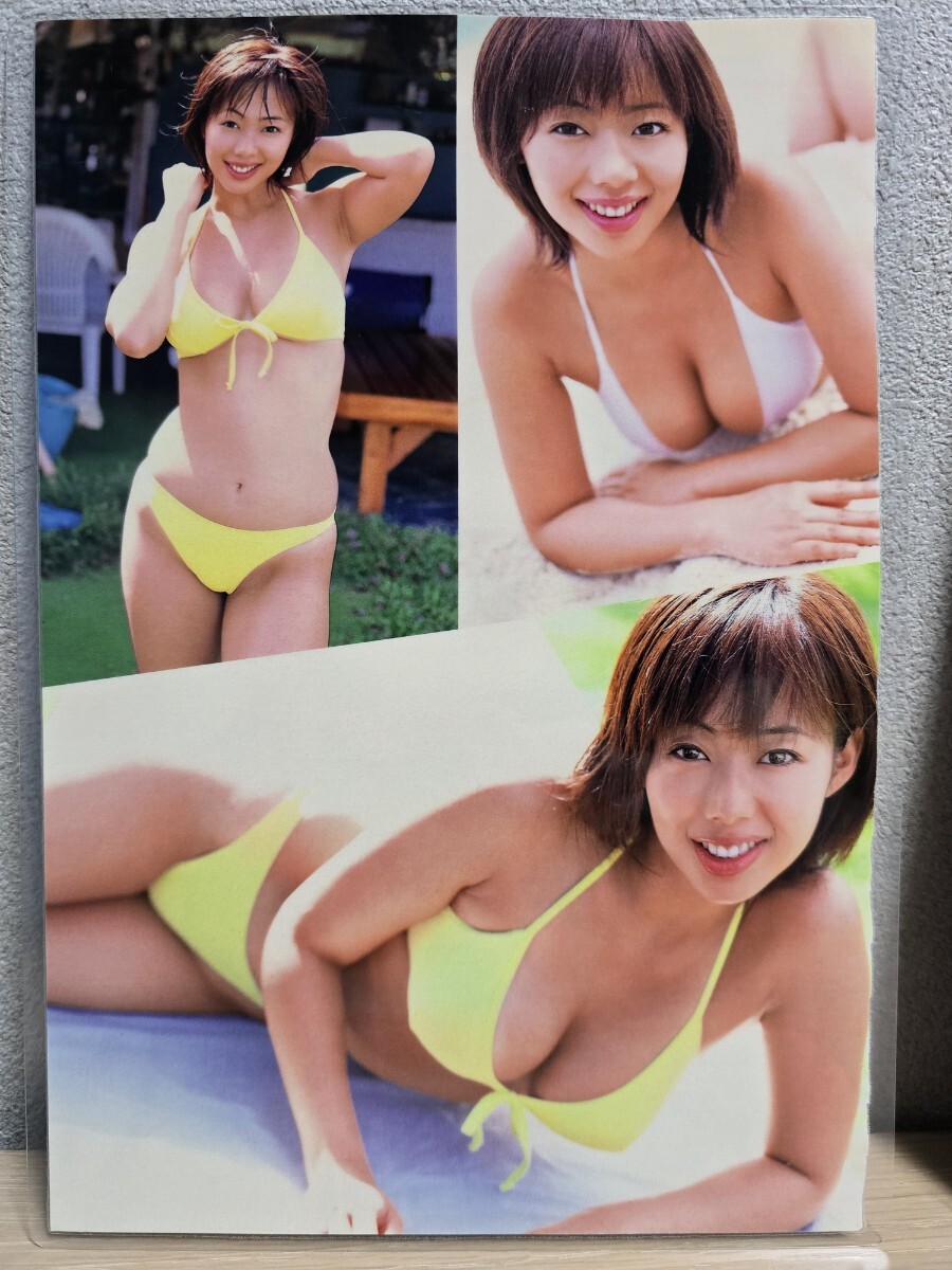 井上和香】[150μmラミネート加工切り抜き6ページ]ヤングマガジン 年 B5