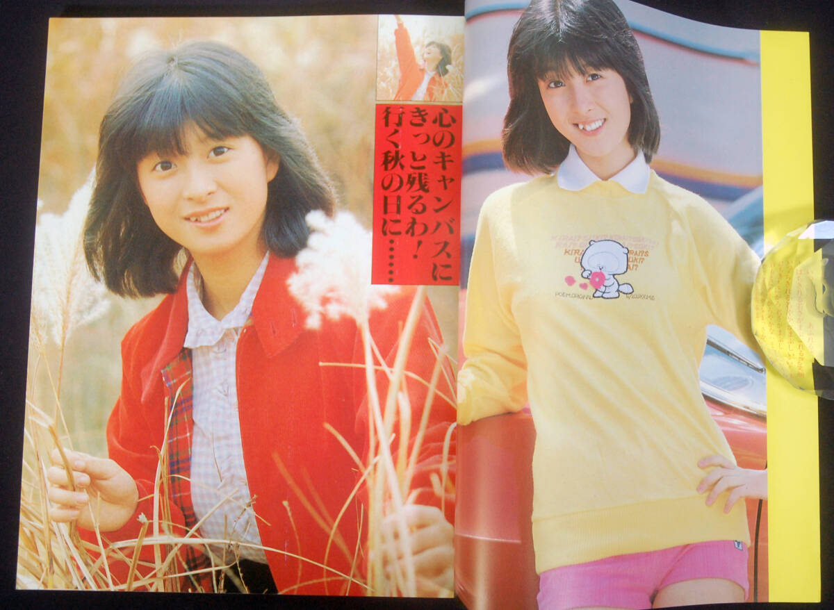 別冊近代映画 河合奈保子 特集号 1981年8月重版 大型ポスター付 水着