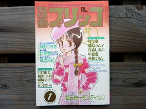 即日発送 漫画ブリッコ 1983〜1985年 21冊セット 中森明夫おたく初出 漫画ブリッコの値段と価格推移は？｜2件の売買データから漫画ブリッコ