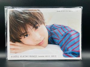 柏木悠の値段と価格推移は？｜23件の売買データから柏木悠の価値が