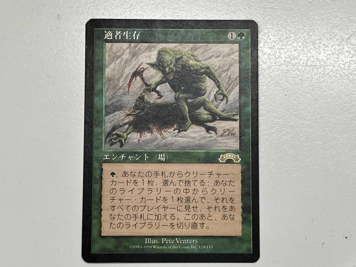 MTG 適者生存の値段と価格推移は？｜4件の売買データからMTG 適者生存