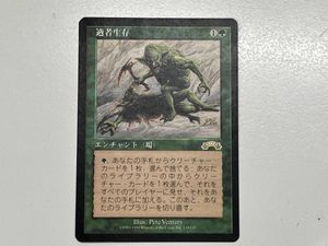 MTG 適者生存の値段と価格推移は？｜4件の売買データからMTG 適者生存