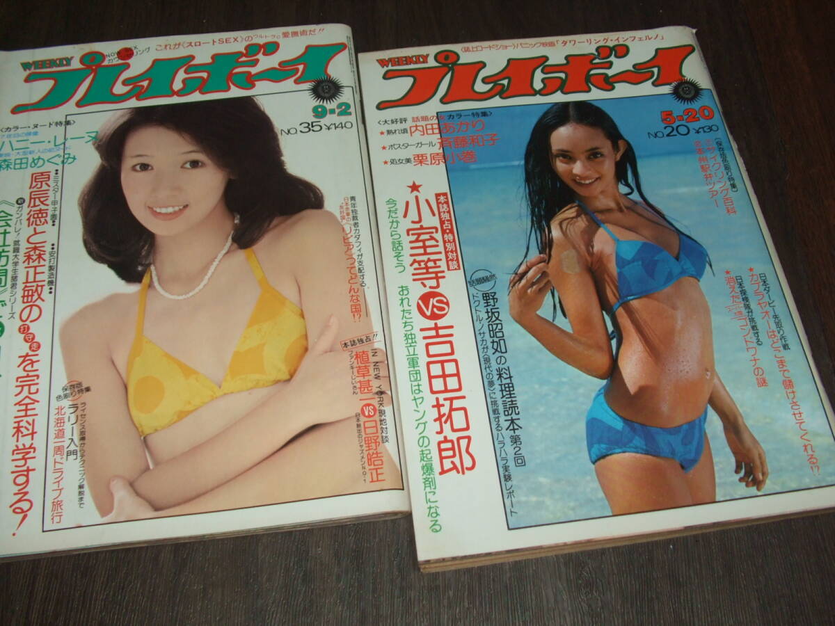 昭和レトロ　ハニー・レーヌ　特大ヌードパネル1970年前半 ハニー・レーヌの値段と価格推移は？｜2件の売買データからハニー