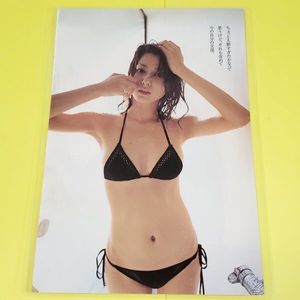 杉本有美のYahoo!オークション(旧ヤフオク!)の相場・価格を見る｜Yahoo