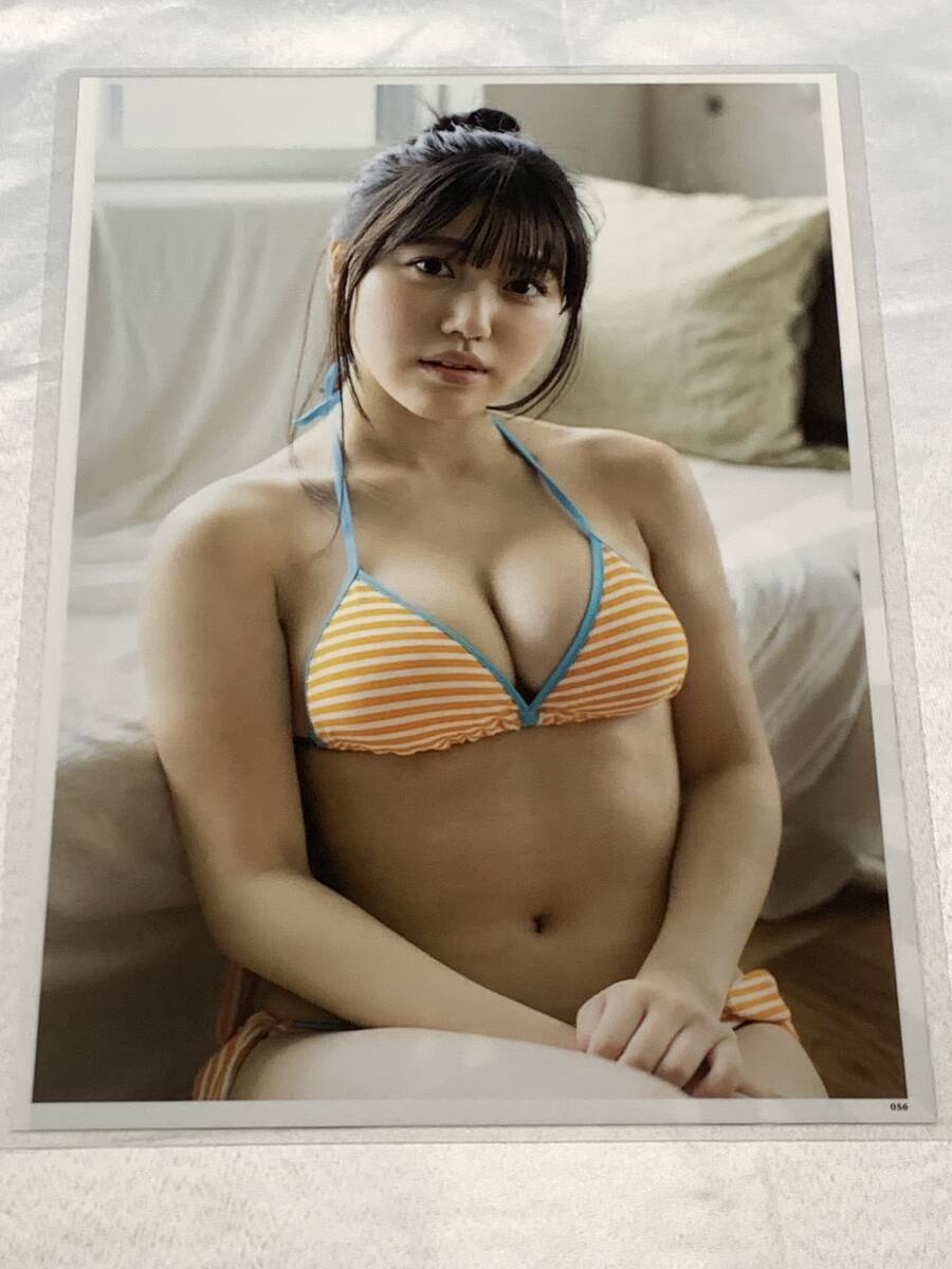 和泉芳怜の値段と価格推移は？｜38件の売買データから和泉芳怜の価値が