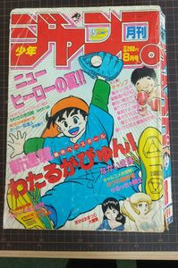 わたるがぴゅんの値段と価格推移は？｜5件の売買データからわたるが