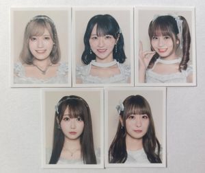 大場花菜の値段と価格推移は？｜205件の売買データから大場花菜の価値