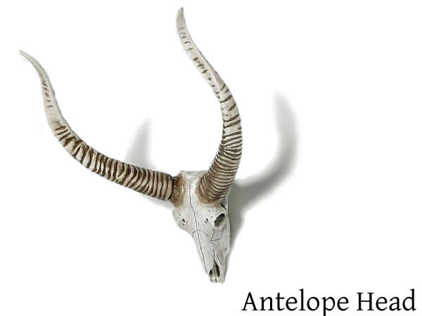 DULTON【ダルトン】Antelope Head/アンテロープヘッド(S355-70)