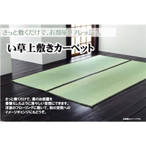 双目織 い草上敷 『草津』 本間4.5畳（約286×286cm）