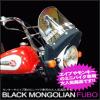 ゼットファーザー×旭風防 モンゴリヤン風防 APE50/100等に