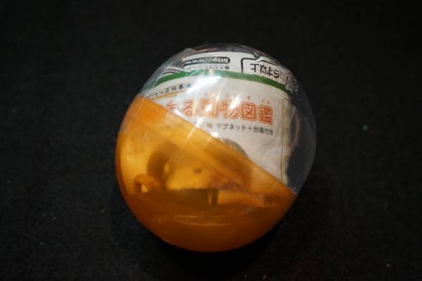 ツノのある動物図鑑 ヒツジ メリノー種 生き物 売買されたオークション情報 Yahooの商品情報をアーカイブ公開 オークファン Aucfan Com