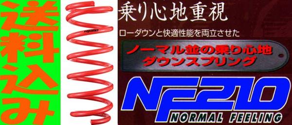 送料込み 新品 デイズルークス タナベNF210 B21A