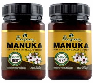 Evergreen マヌカハニー MGO600＋ 500g×2個 追跡 送料無料