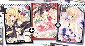 C89 WNB スリーブセット D