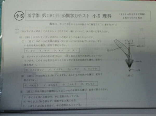 本 日能研 テスト 5年生 一年分全て 2011