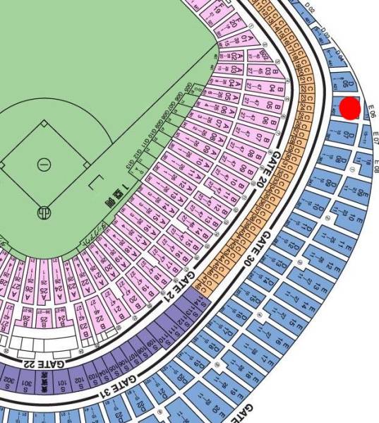通路近く3/26(土)巨人vsヤクルト1枚オレンジタオル付[スカイ5]
