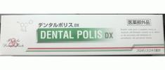 デンタルポリスDX　80ｇ×10本 歯科医院専売品 歯みがき