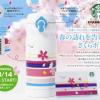 即発送 2016 全日空 ana スターバックス 桜 さくら タンブラー
